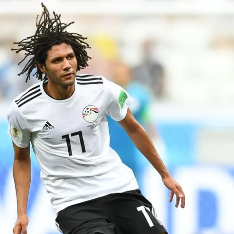 Mohamed Elneny