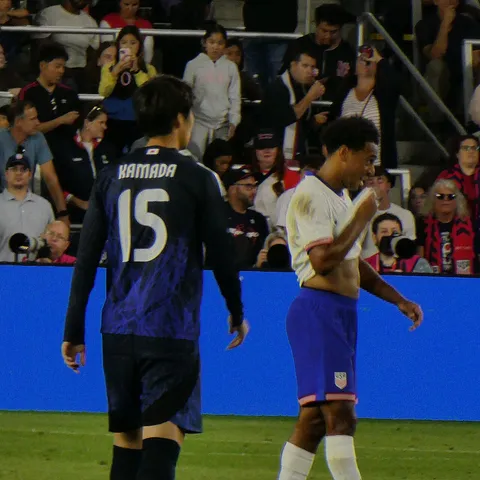 Tyler Adams